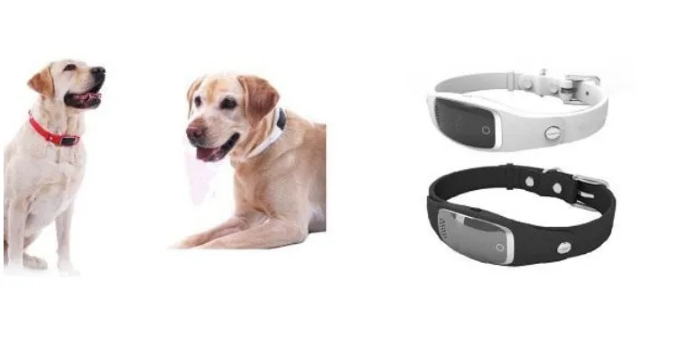 S1 Mini Waterproof Pet Tracker For Dogs And Cats GPS LBS And WIFI Locator With Geofence Tracking And Free App Access From Autoledlight 52.28 DHgate.Com