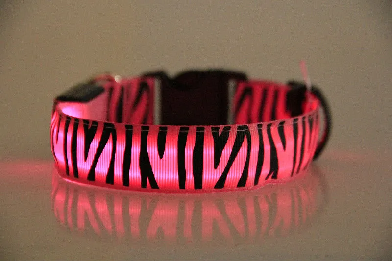 Migające kołnierze PET Zapalone Nylon Led Dog Collars Kolorowe LED Zebra Styl Collar 2,5 m Szerokość 8 Kolor S / M / L