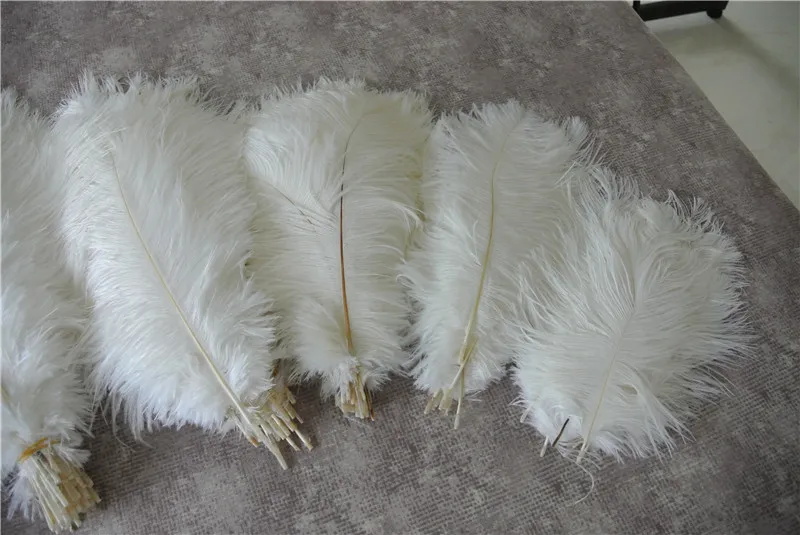 Plumas de penas de avestruz brancas inteiras 50 peças para peça central de casamento decoração de festa de casamento decoração de evento de festa fornecimento8777222