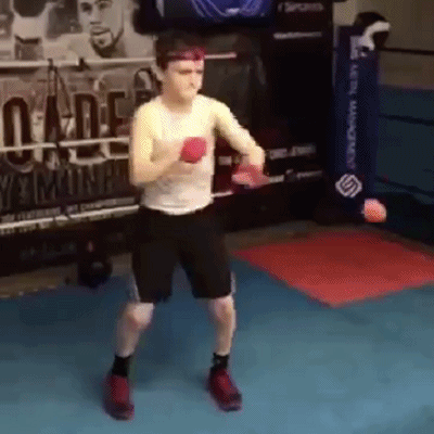 PELOTA DE BOXEO PARA ENTRENAR LOS REFLEJOS - Loquierostore