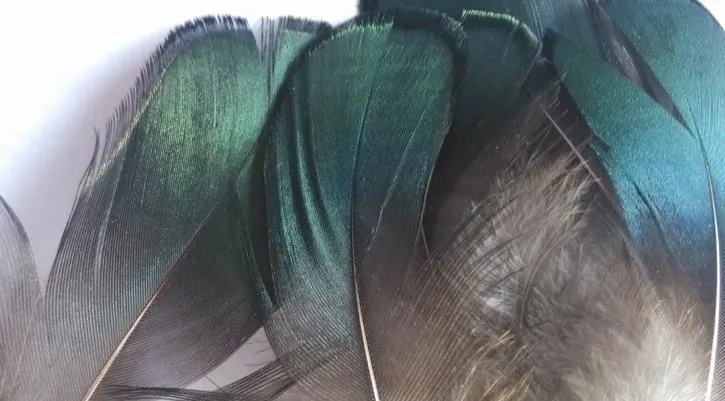 diy craft green copper chicken verdigris natural feathers pro cleaning feathers diy jewelry bag necklace headband 47cm drop