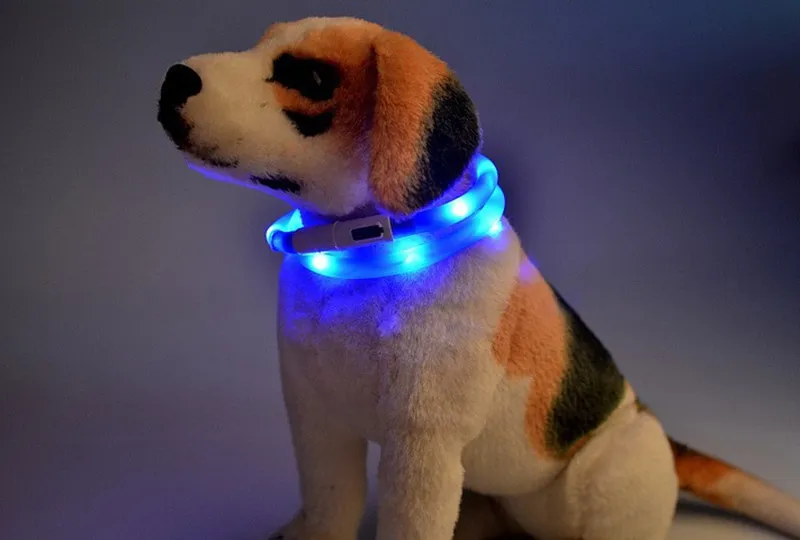 Nyaste Klipp USB Charge Dog Training Collar LED Utomhus Lysande Laddare Pet Dog Collar Light Justerbara LED Blinkande hundkrage