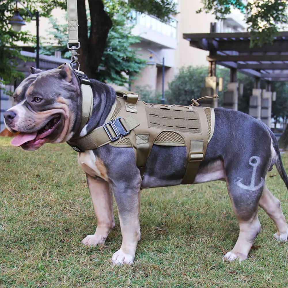 Tattico Militare Caccia Tiro Cs Army Service Nylon Pet Gilet Airsoft Training Molle Dog Vest Harness 201127