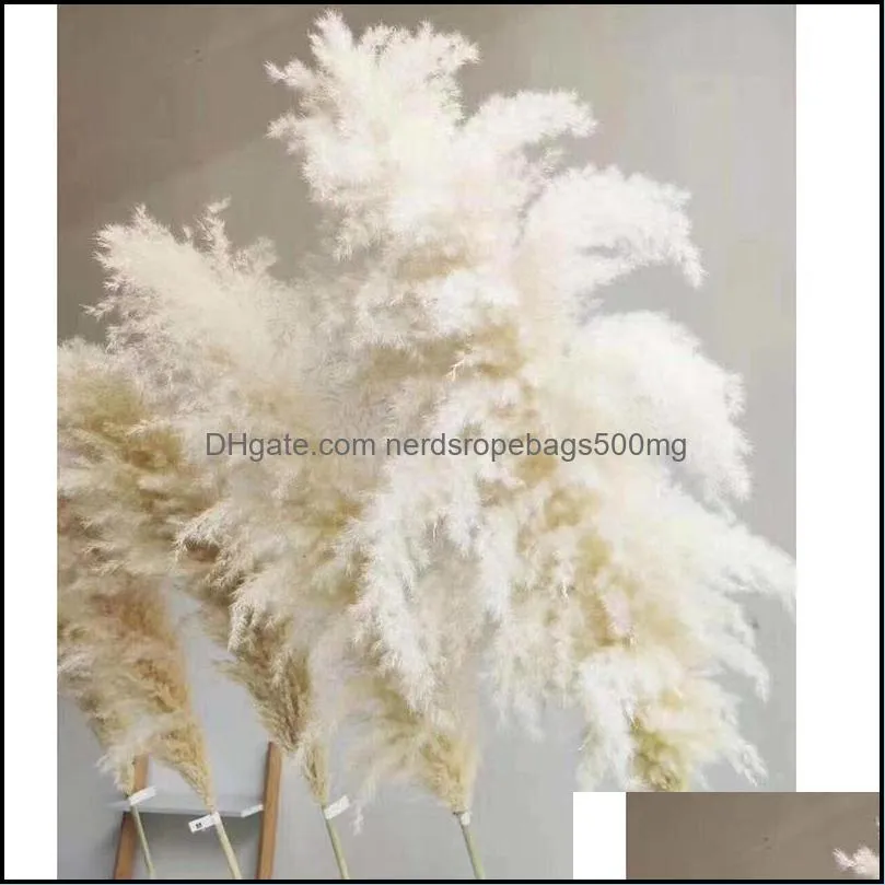 White Natural Reed Dried Flower Big Pampas Grass Bouquet Wedding Flower Ceremony Decoration Modern Home Decoration Fall Decor