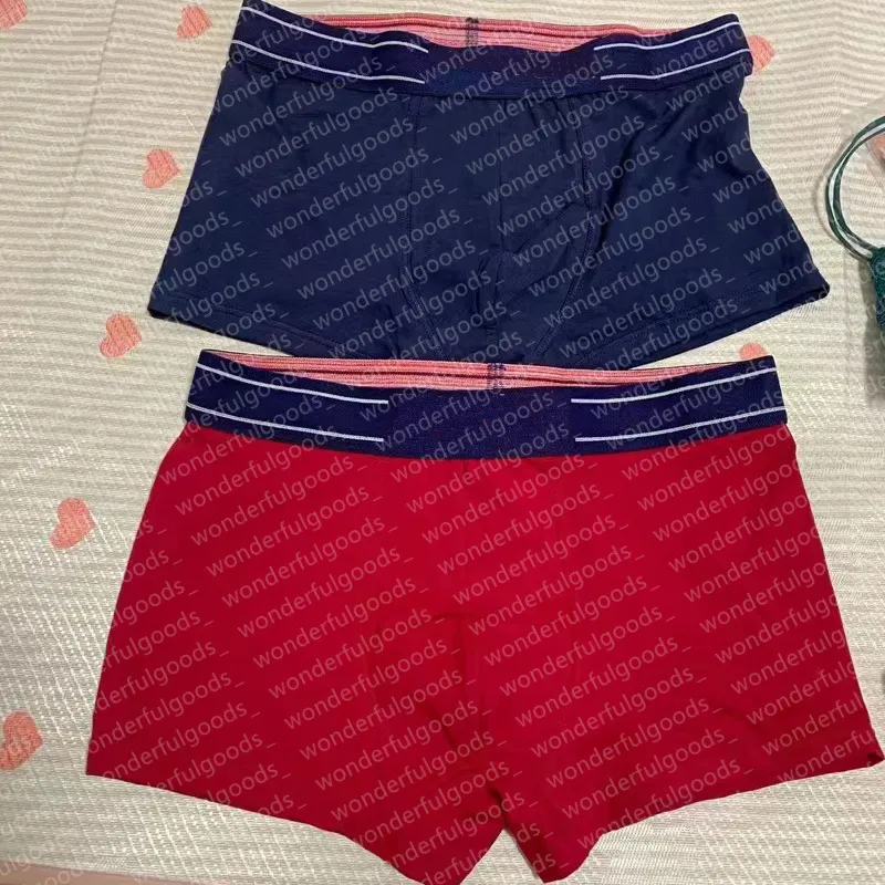 Calzoncillos balenciaga cheap