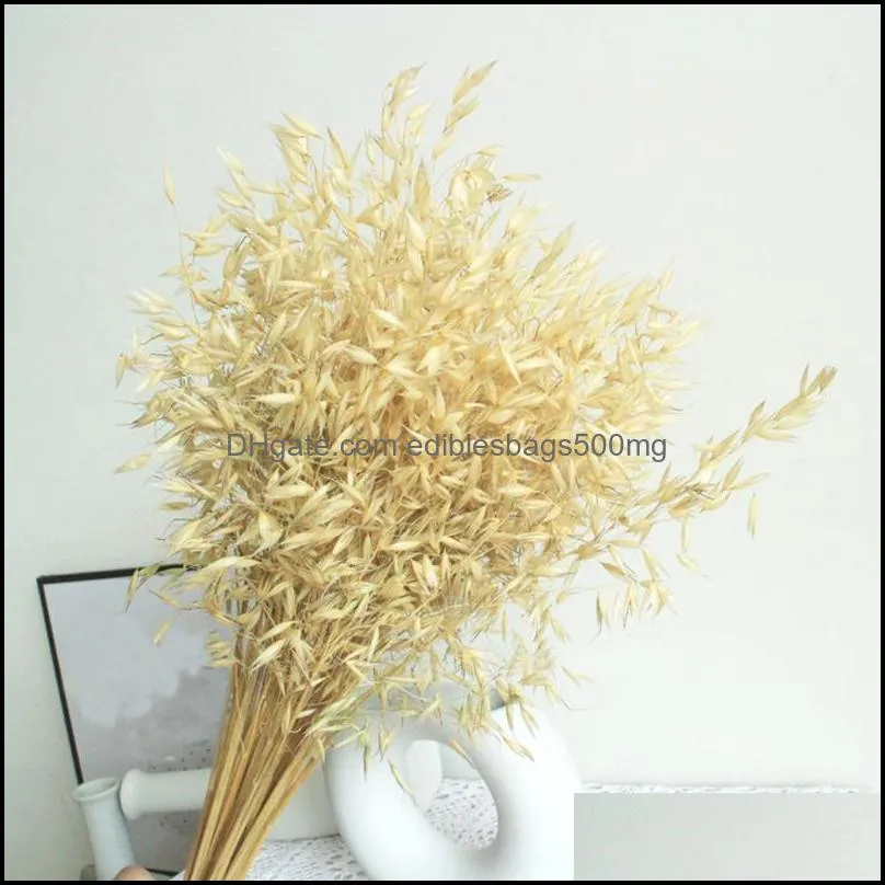 Decorative Flowers & Wreaths Natural Dried Flower Bouquets Ear Of Oats Bunches