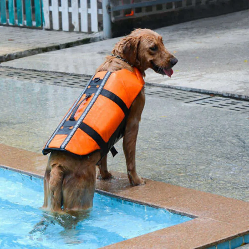 Dog Clothes Pet Life Ladies Summer Jackets Floating Vest Adjustable Swimming Protective Paddling Safety Pool Beach 210804 From Gou09 9.57 DHgate.Com