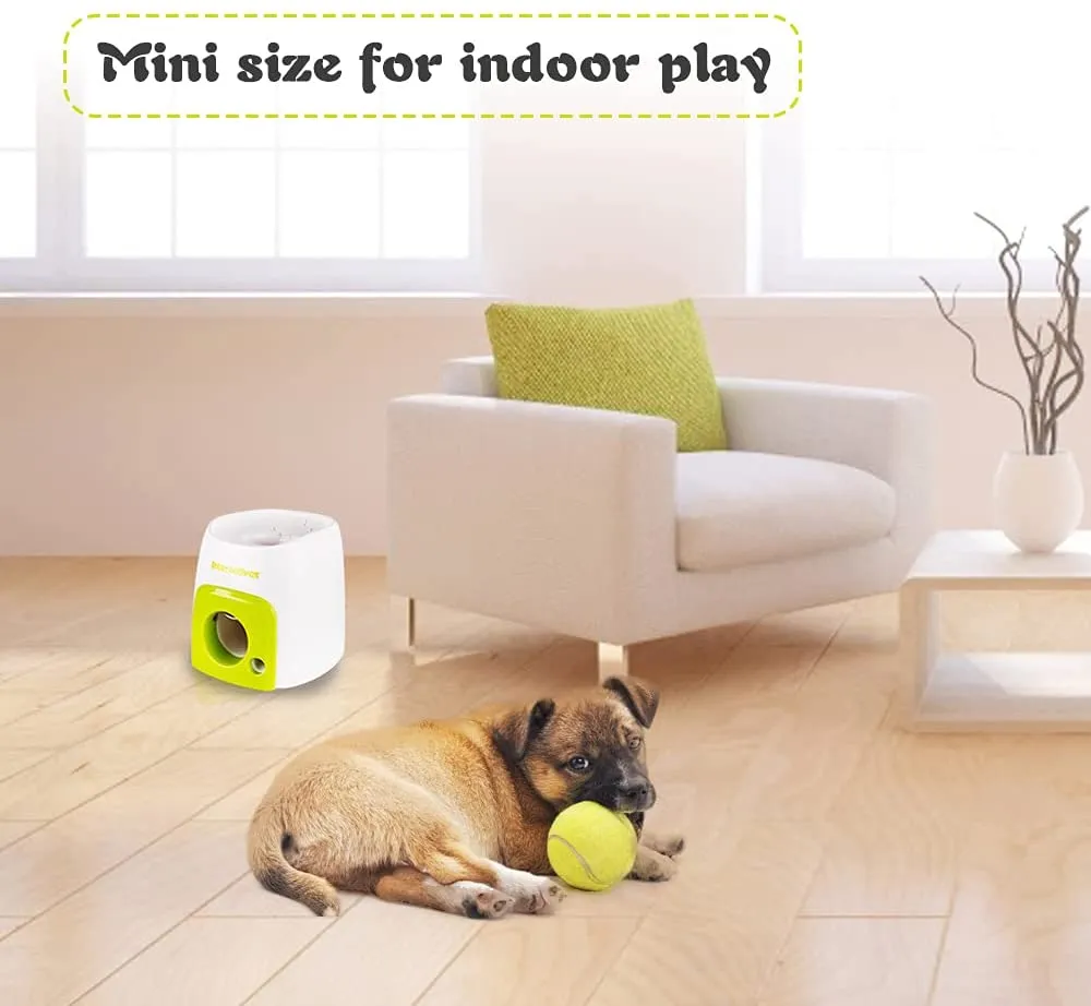 PetSafe Ball Launcher Automatic Interactive Fetch Toy For Dogs. Throws