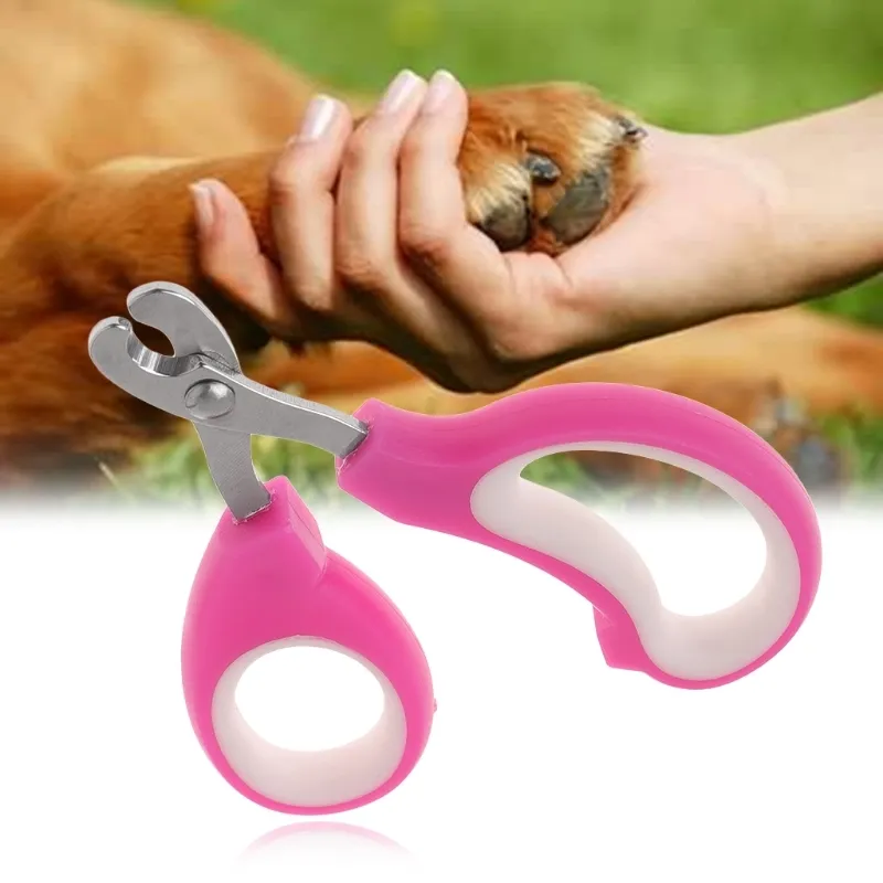 Coupe-ongles pour animaux de compagnie, ciseaux de coupe pour chiots et chatons, griffe de toilettage pour petits animaux