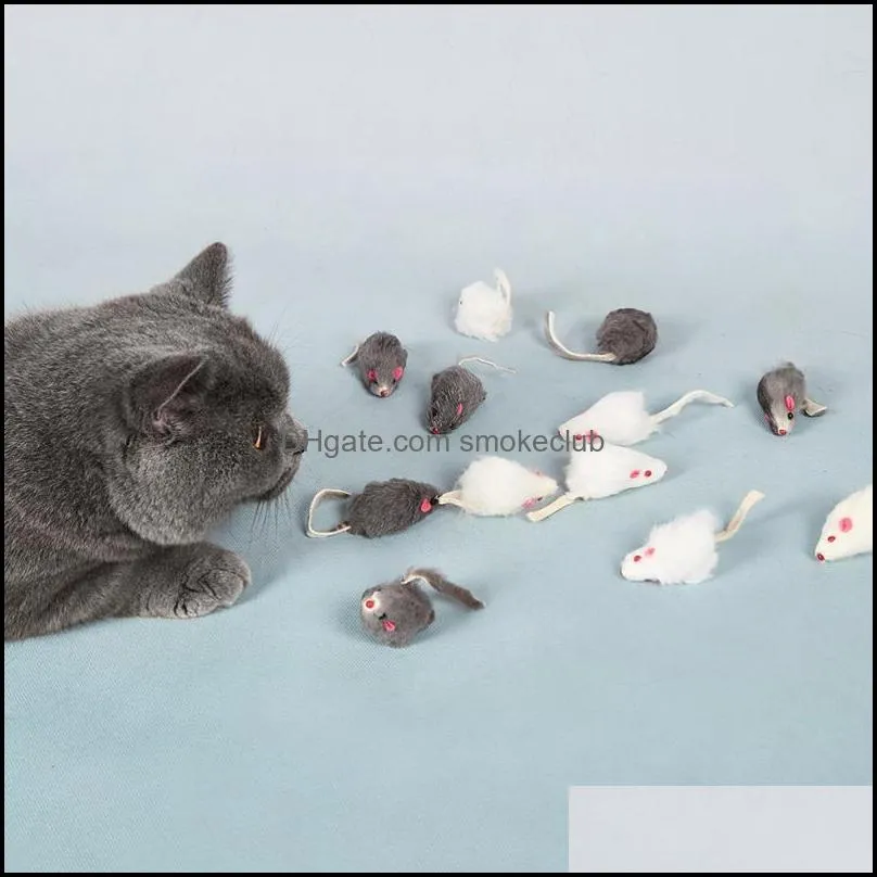Cat Toys 12pcs Kitten Chew Simulation Mice Interactive Plaything