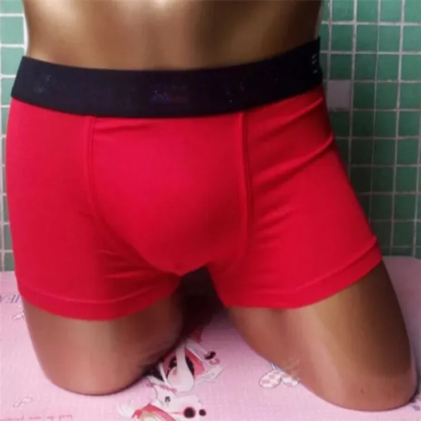 Designer Brand Mens Boxer Men Underpants for Man Underpanties Underwear Sexy Mens Boxer Intwear Cotton Shorts Shorts 5pcs/Lot