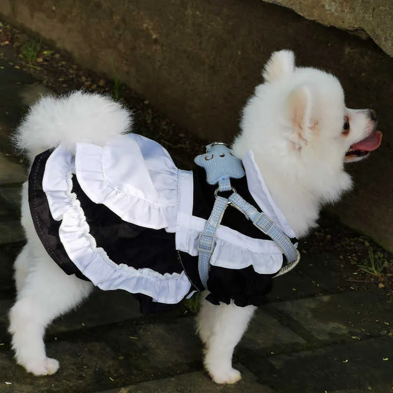 Klänning Lolita Maid Summer Cat Klänningar Kjol Pet Puppy Kläder Yorkshire Pomeranian Poodle Corgi Bichon Dog Kläder 2021