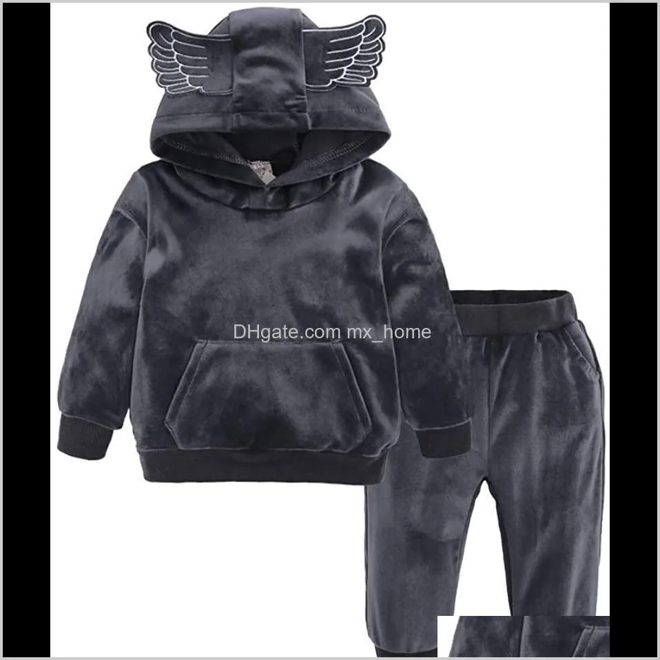 baby boys girls velvet hooded clothing set kids jacket coat pants suit for sports suits tracksuits toddler children clothes set