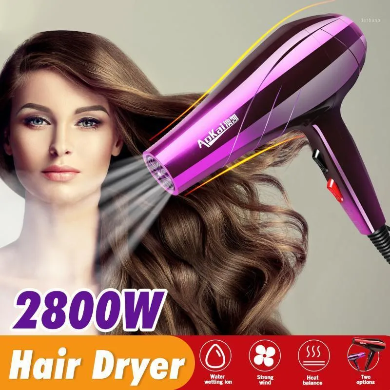 Professional Electric Hair Dryer Salon Household Hairdressing Blow Cold Wind AC Motor Detachable Air Inlet1