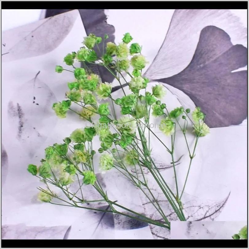 20cm Natural Plant Dried Flowers Gypsophila Miniature Immortal Bouquet For Creative Handmade Home Decoration Shooting Props Decorative &