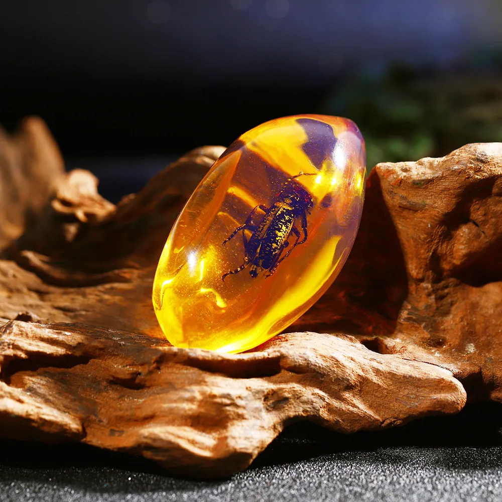 Pendentif Ambre BalTIQUE Naturel Avec Insecte Inclus – Pierre Jaune Non Traitée – Femme