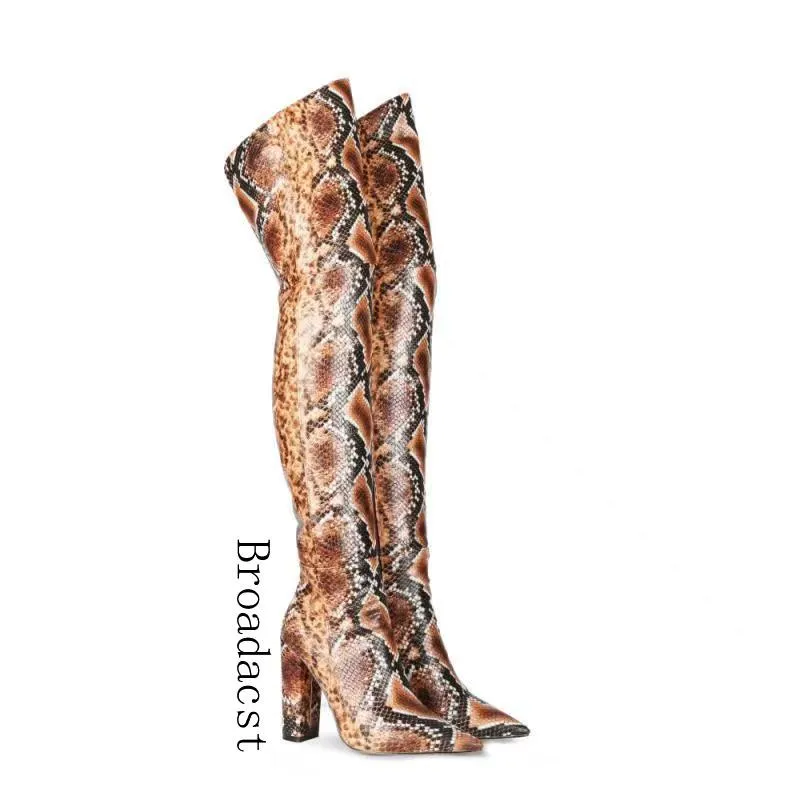 Ботинки транслируют осенние и зимние дамы моды моды модные змеи высокой каблуки на колене