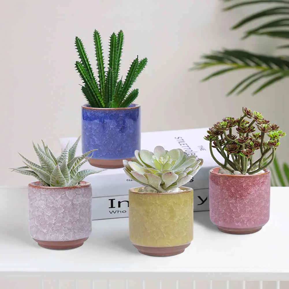 6 adet seramik çiçek sulu bitkiler flowerpot bonsai cakuts tencere ev bahçe dekor mini etli bitki kapları fabrika doğrudan y0314