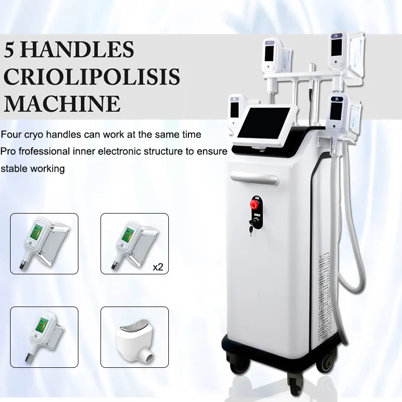 5 Cryo -handtag kan arbeta tillsammans Cryolipolysis bantningsmaskin Kroppsformning Fat frysbehandling Användarmanual Godkänd