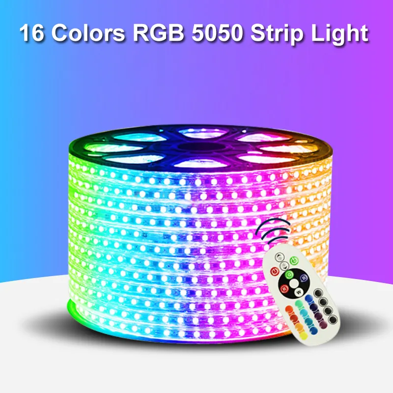 Striscia LED da 110 V 220 V 5050 50m 100m IP65 illuminazione a doppia corda a doppio colore RGB per esterno con telecomando RF in stock