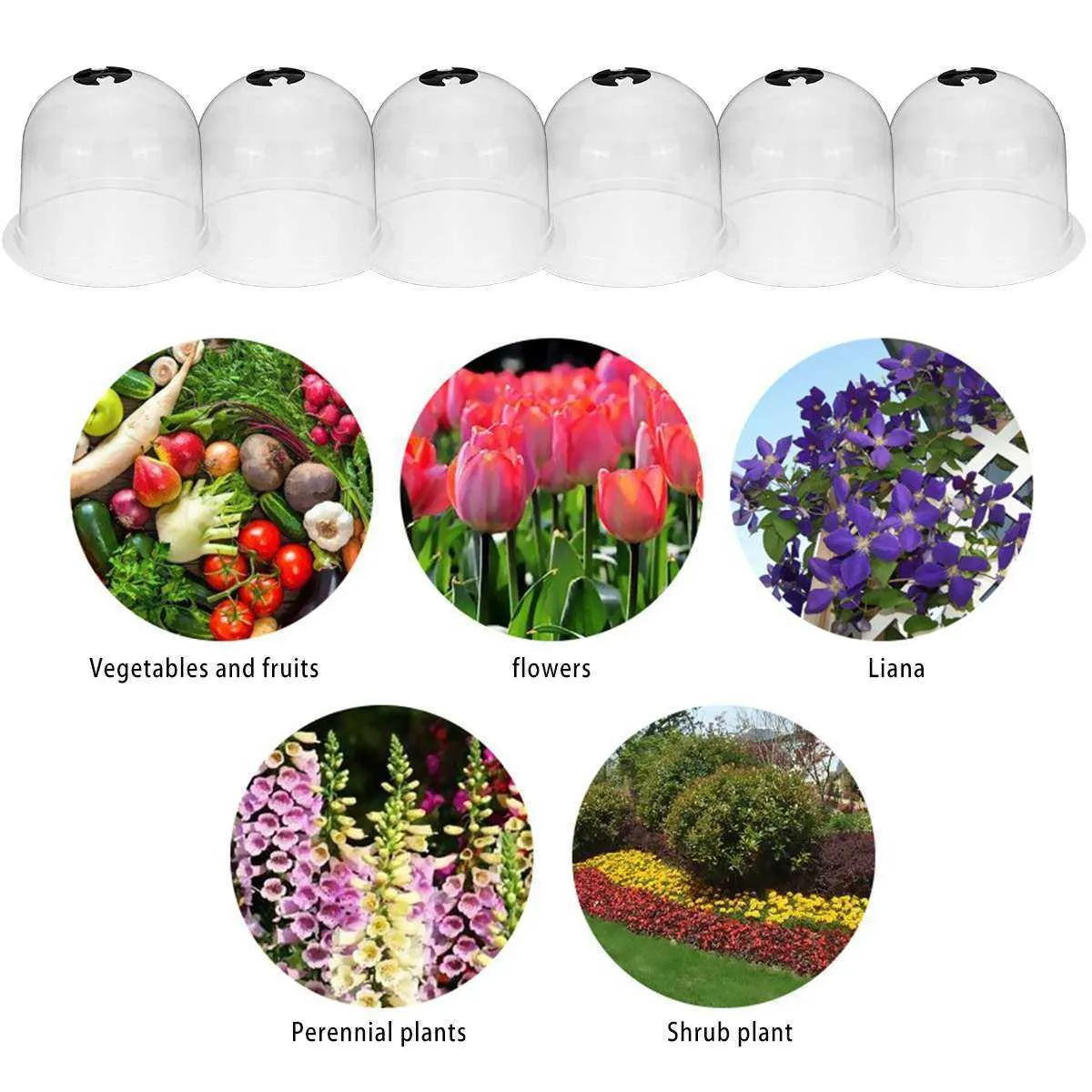 12 6pcs 10 Reusable Plastic Greenhouse Garden Cloche Dome Plant Covers Frost Guard ze Protection 210615329g
