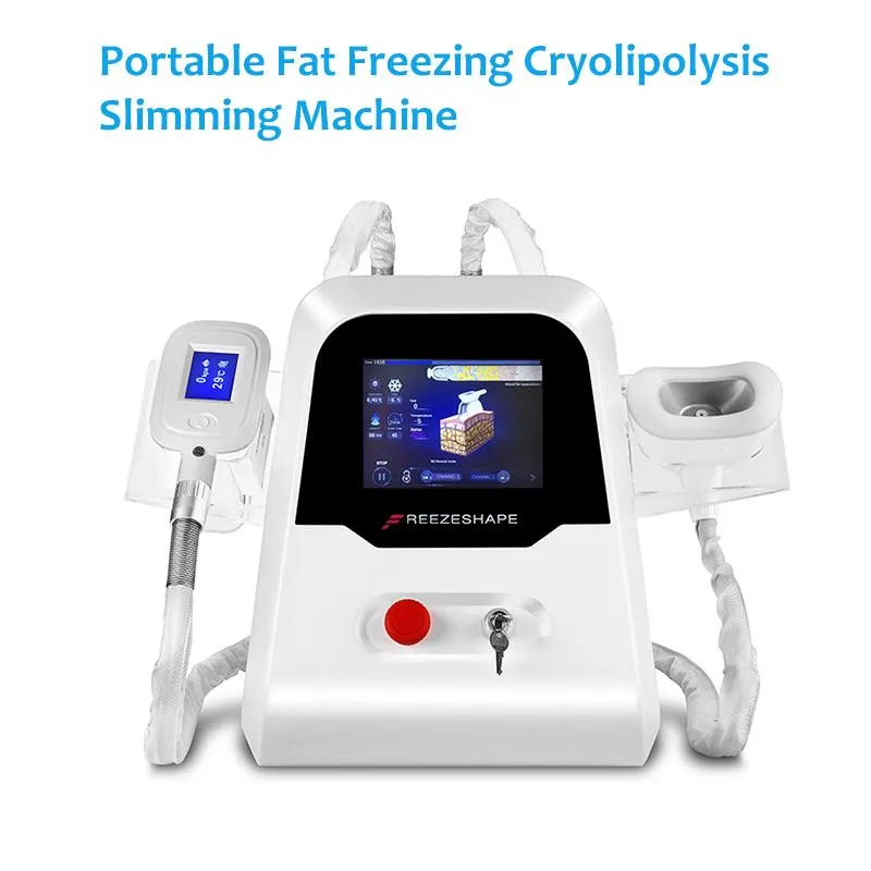 2 Handles Cryolipolysis Fat Lipofreeze Freezing Cool Body Sculpting Machine for Personal Use Cryotherapy Beauty Slimming