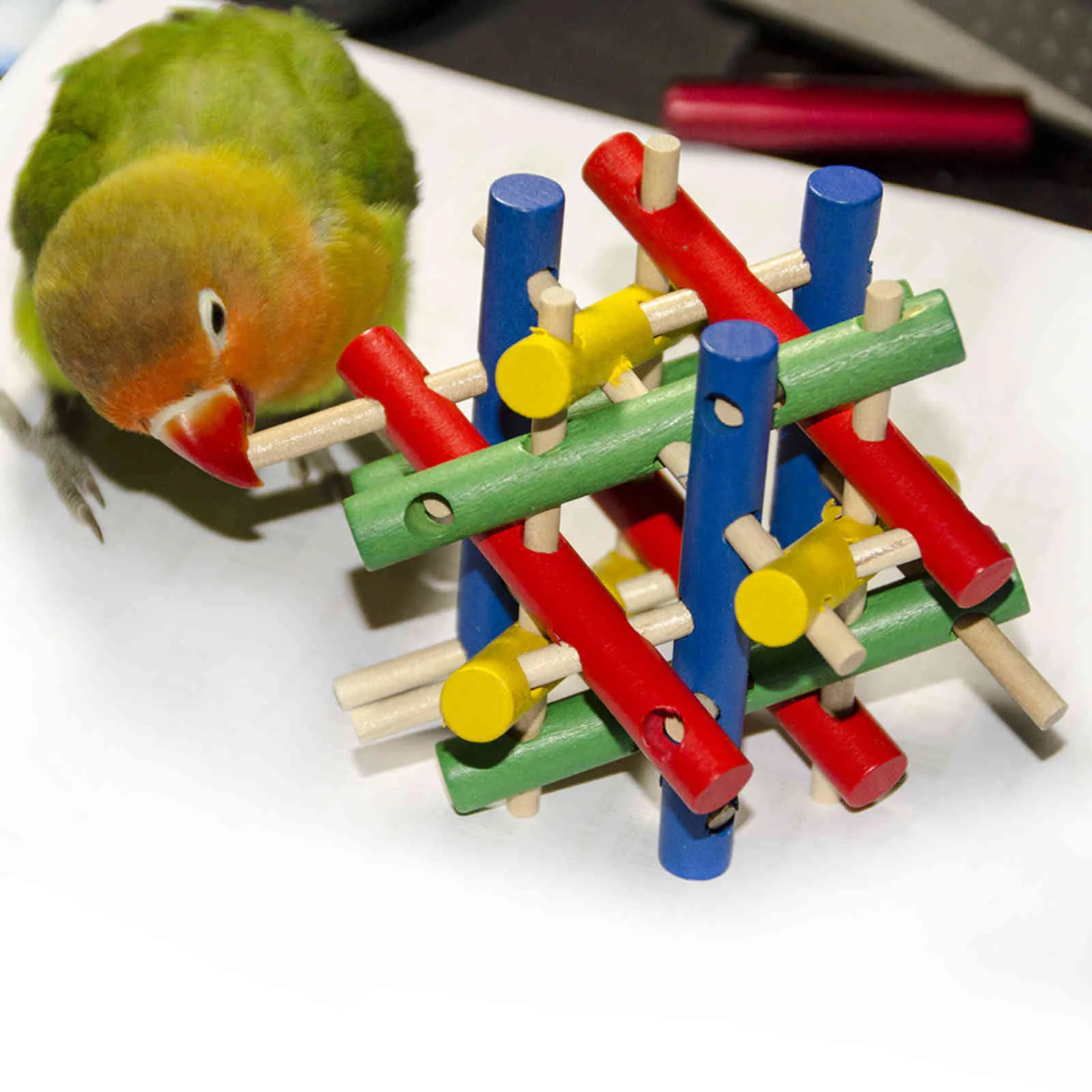 Parrot Toy For Bird ball Accessories Supplies Cockatiel Perch Budgie Parakeet Cage Decoration agaporni vogel speelgoed