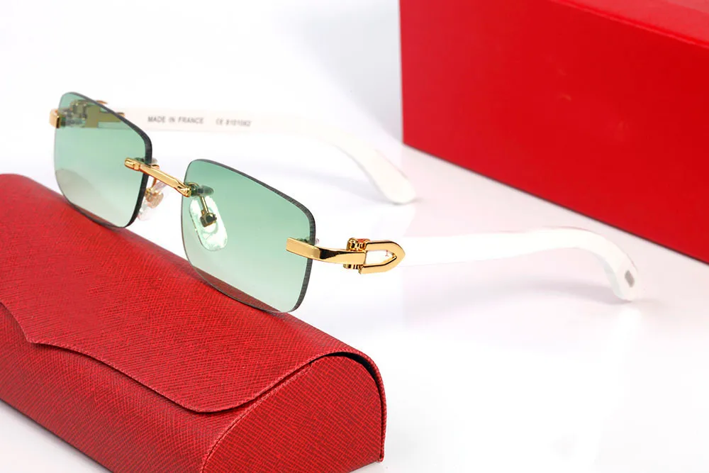 Trendy eyewear brands hotsell