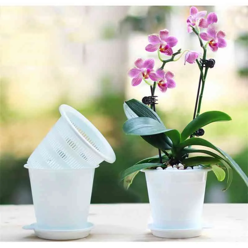 Meshpot Lot de 2 pots d'orchidées fendus de 10,2 cm avec trous en plastique pour pot de jardin Excellent drainage, 2 pots intérieurs, 2 pots extérieurs, 2 plateaux 210401