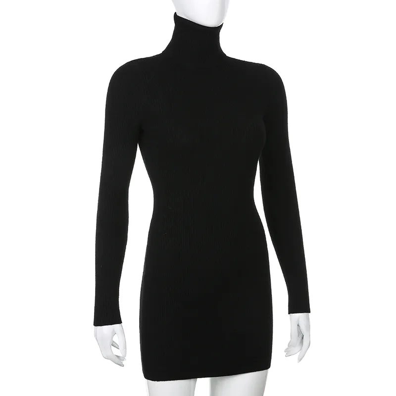 Solid Ribbed Knit Turtleneck ss
