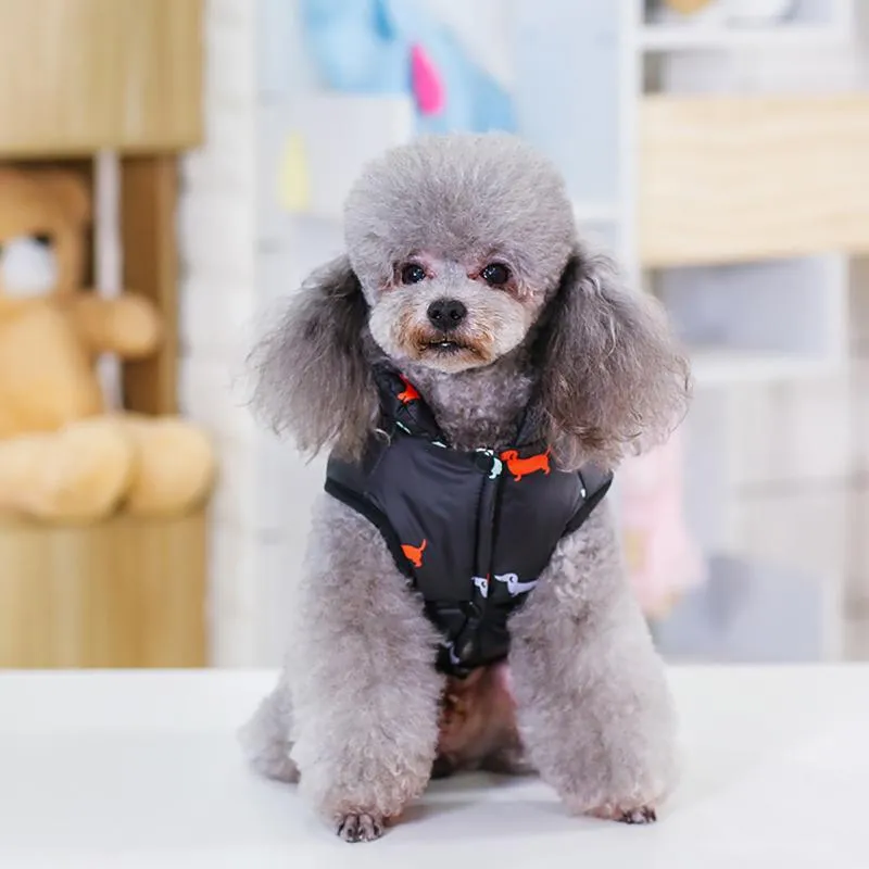 Vestuário de cães Chihuahua Andando ao ar livre Macio Impresso Filhote de Filhote De Roupa De Roupa Térmica Casual Pet Roupas Shih Tzu Quente Outono Casaco de Inverno