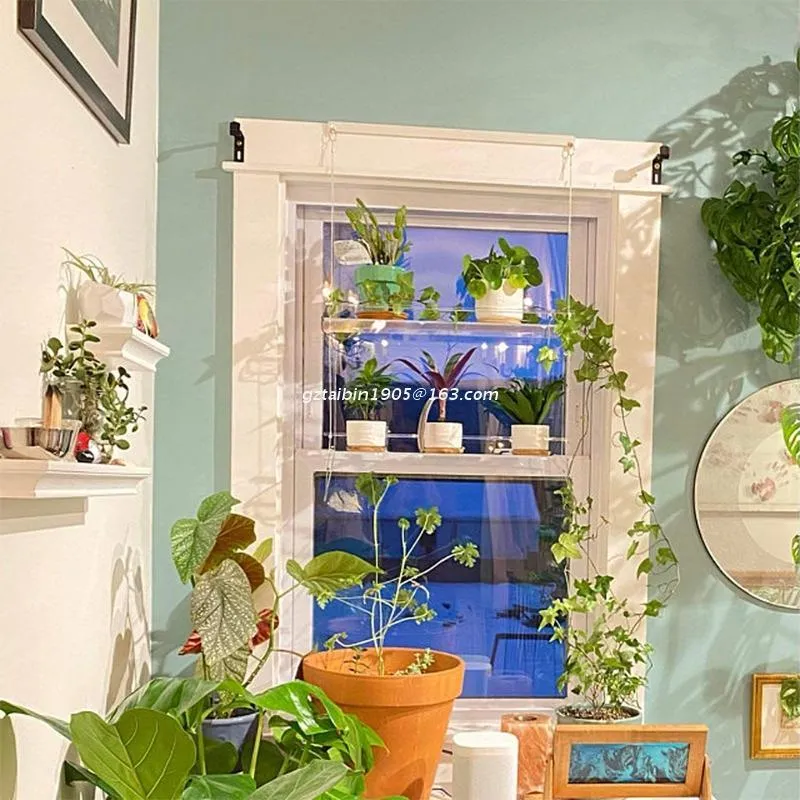 フックレールアクリル窓の植物棚の鮮明なぶら下がっている浮かぶ壁の棚の植木鉢棚の滴