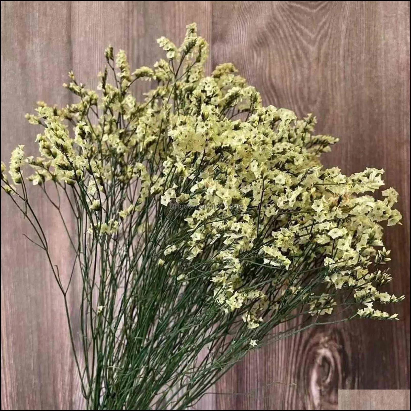 Decorative Flowers 35 ~ 42Cm/60G Kristal Gras Natuurlijke Verse Gedroogd Geconserveerd Vergeet Me Bloemen real Blijvend Lover Tak Voor Home Decor