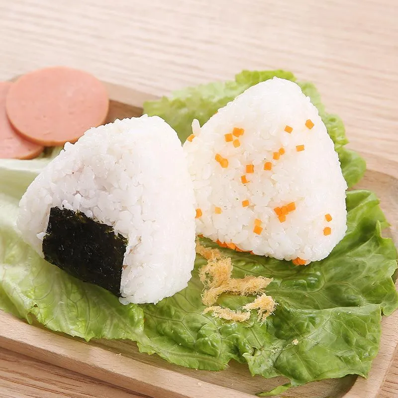 Molde de sushi, juego de moldes de sushi, molde de Onigiri Diy
