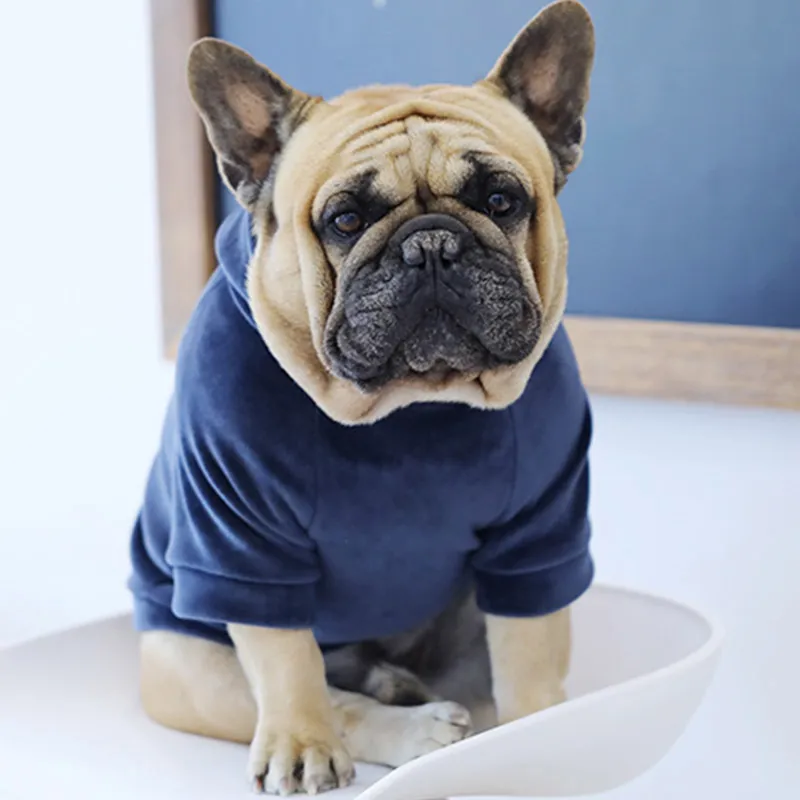 French deals bulldog gear