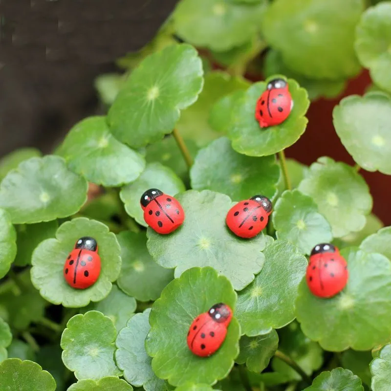 100 pz / lotto Mini Cute Beetle Coccinella Decorazioni da giardino Septempunctata Ornamenti fai da te Micro Paesaggio Muschio Bottiglia Desktop Decor Bonsai Doll Hous DH5778