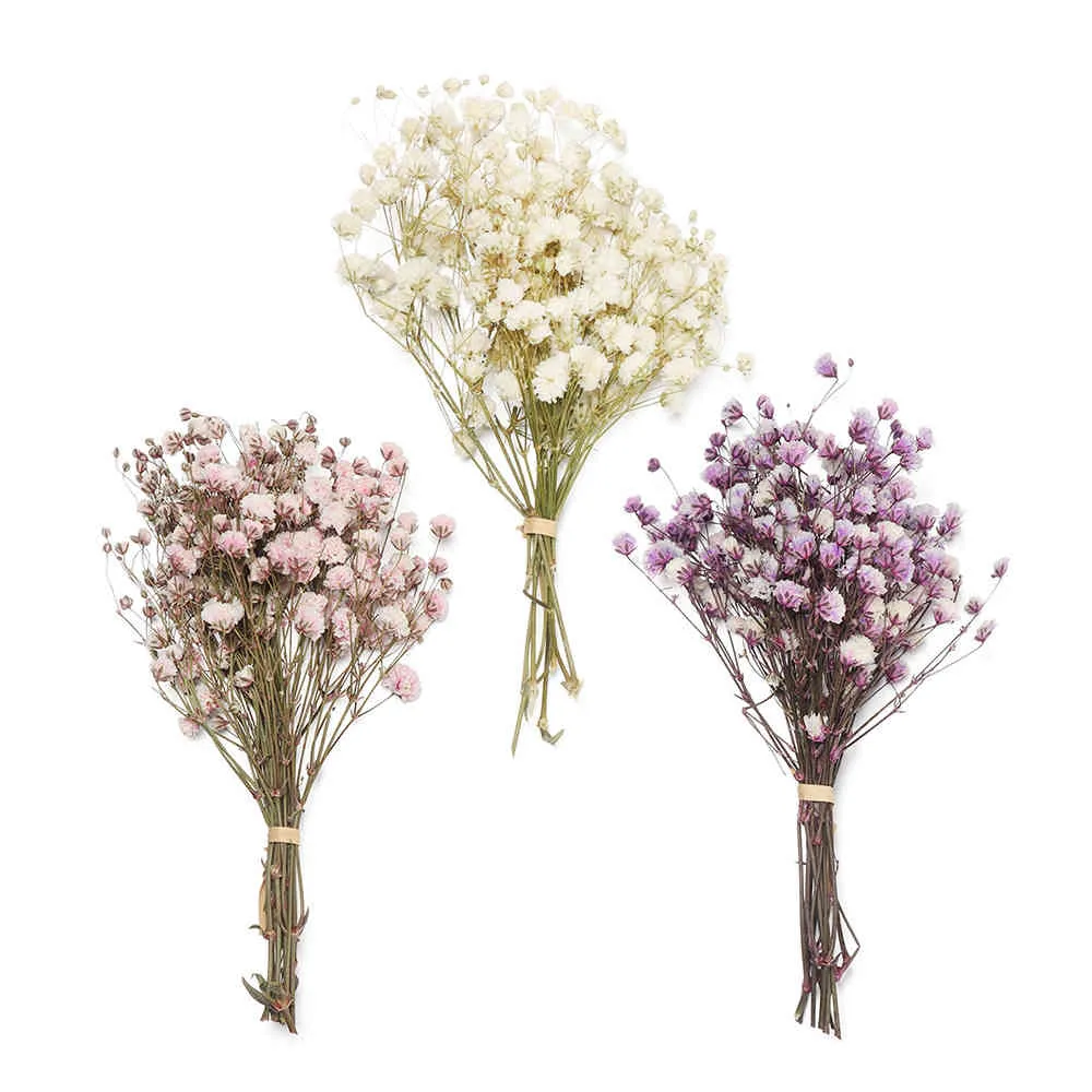 Mini mazzo di fiori secchi Babysbreath decorativo Le piante naturali conservano floreale per la decorazione della casa di nozze