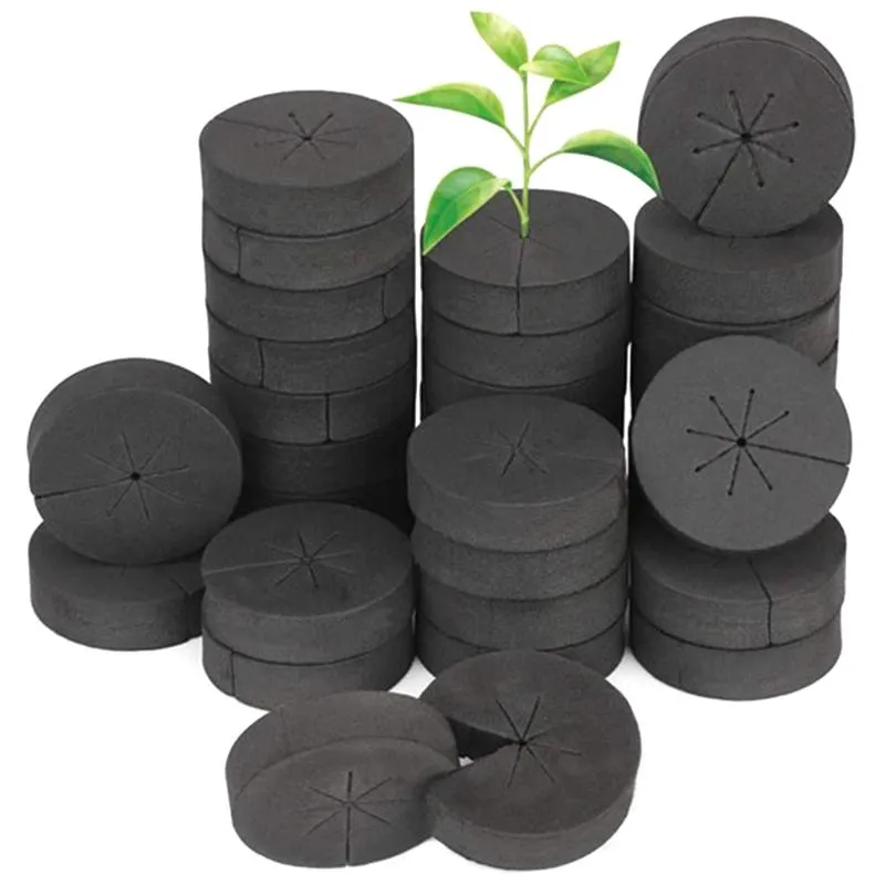 Plantadores POTS 60pcs colares de clones de jardim insere o bloco de esponja para sistemas de hidroponia líquida de 2 polegadas e máquinas de clonagem