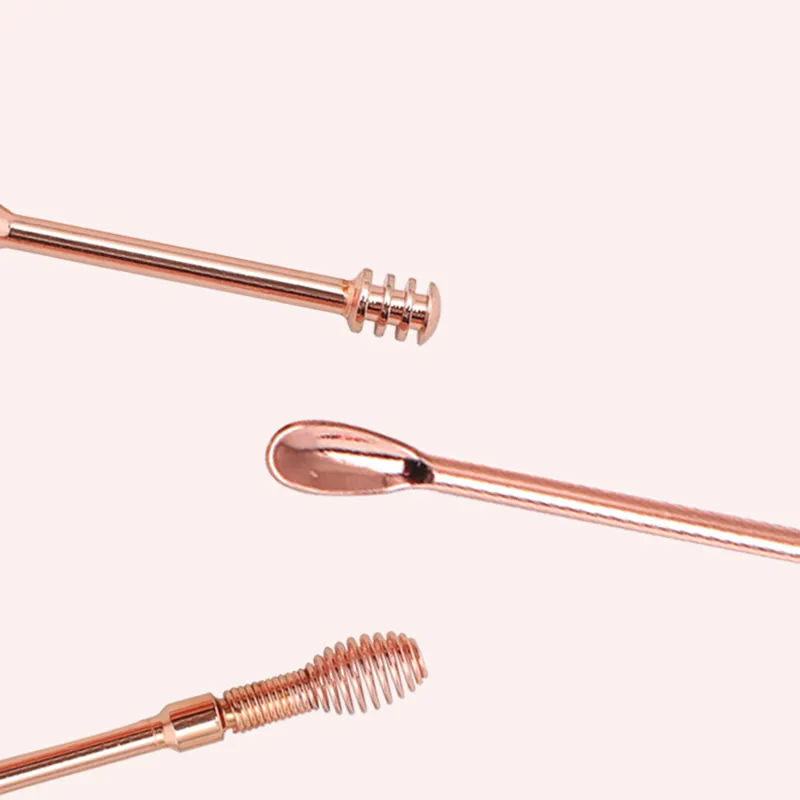 6 stks / set roestvrij staal Rose Gold Spiral Ear Pick Lepel Wax Removal Cleaner Multifunctionele Draagbare Oren Picker Care Beauty Tools ZZE6191