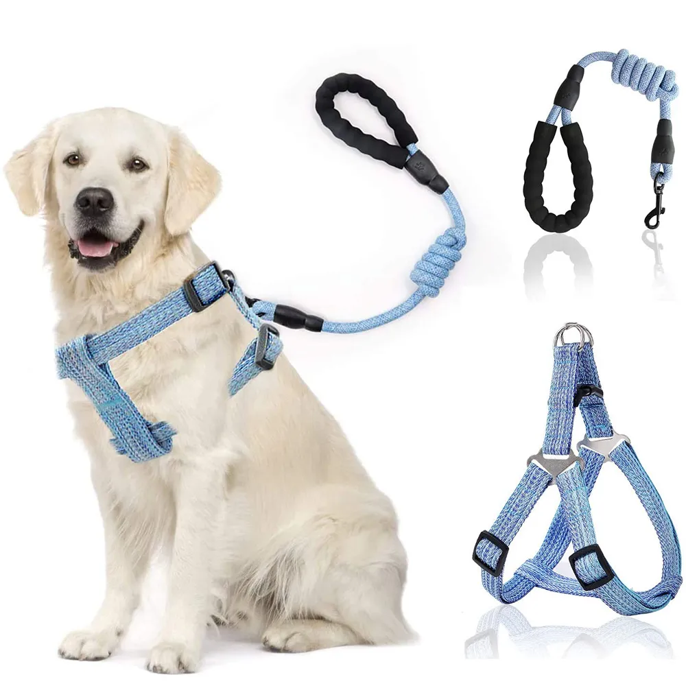 Köpek tasma kablo demeti, küçük orta ve geniş köpekler için büyük ve büyük köpekler için büyük denim ile ayarla