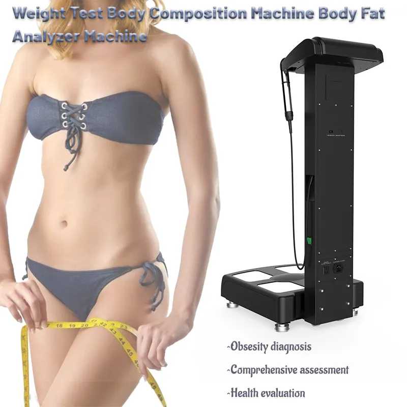 Тестовые тестированные элементы теста Анализ веса весы для красоты Вес человеческого состава Анализатор