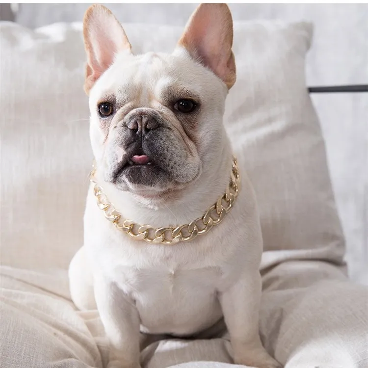 Gold chain puppy collar deals