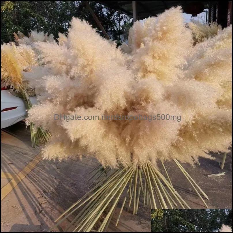 White Natural Reed Dried Flower Big Pampas Grass Bouquet Wedding Flower Ceremony Decoration Modern Home Decoration Fall Decor