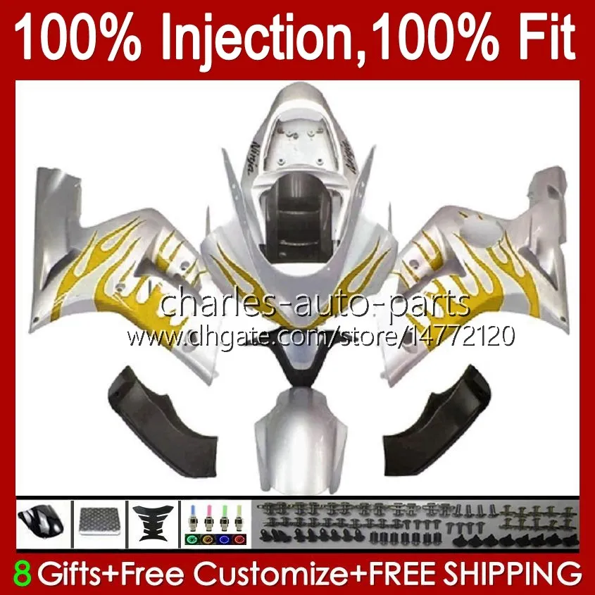 Feedings de molde de injeção para Kawasaki Ninja ZX-6R ZX-63 ZX 6R 600 CC 6 R ZX636 03-04 Bodywork 8no.170 ZX 636 600cc ZX6R 03 04 ZX600C ZX600 2003 2004 OEM Bodys Silvery