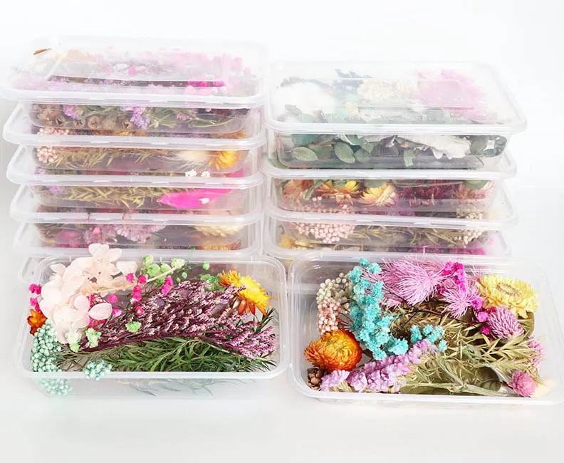 1 Box Real Dried Flower Dry Plants For Aromatherapy Candle Resin Pendant Necklace Jewelry Making Craft DIY Accessories HH21-165