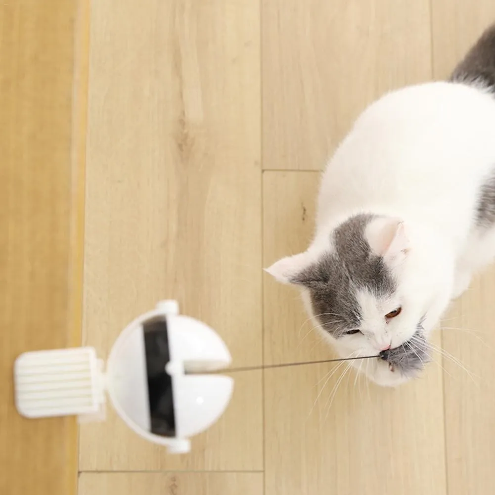 Kattbeteende träning hund fiske leksak iq elektriska automatiska interaktiva husdjur katter yoyo boll