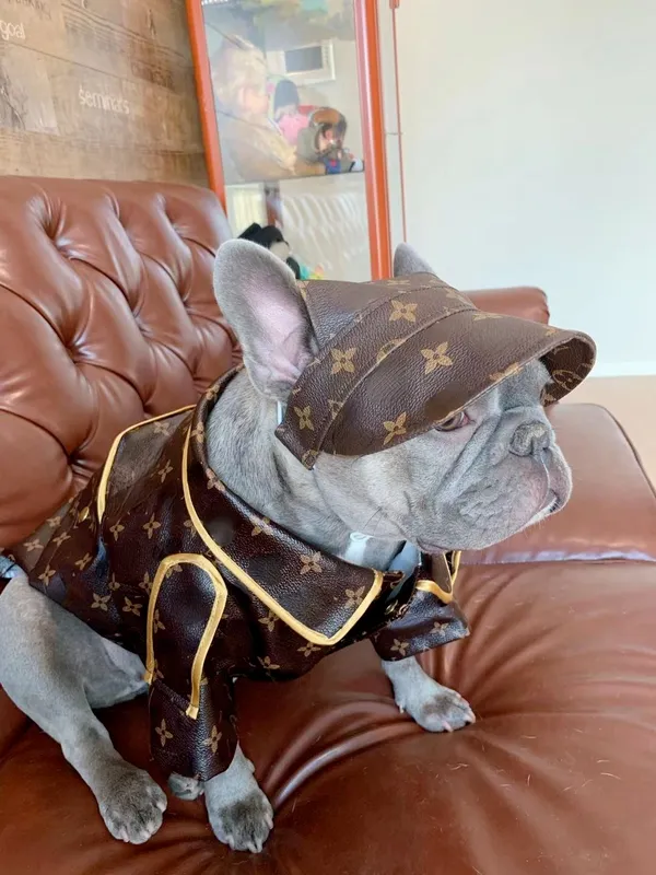 Vuitton Jacket Louis Vuitton Dog Clothes For Sale Dog Vest Louis