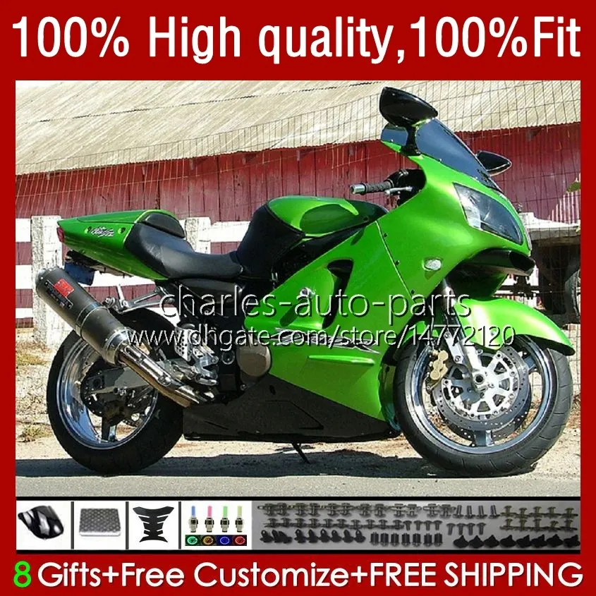 OEM Fairing On With Rose Flames Body Injection For Kawasaki Ninja 