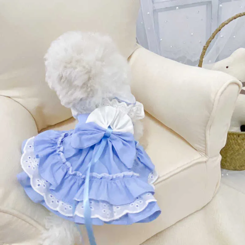 Mädchen Kleidung Sommer Katze Chihuahua XXS XS Kleines Hundekleid mit Hut Prinzessin Skir Yorkshire Pomeranian Pudel Haustierkleidung