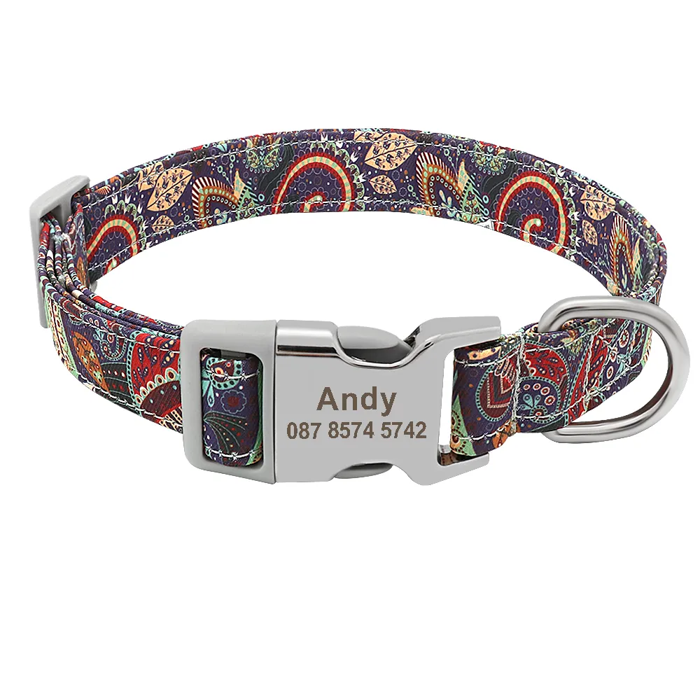 Dog collar printed best sale name